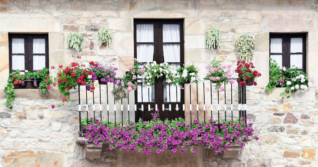 balcone con fiori