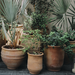 Fioriera da balcone - Vasi da giardino - Fioriera materiale