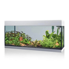 Acquario di acqua dolce a LED da 94 litri