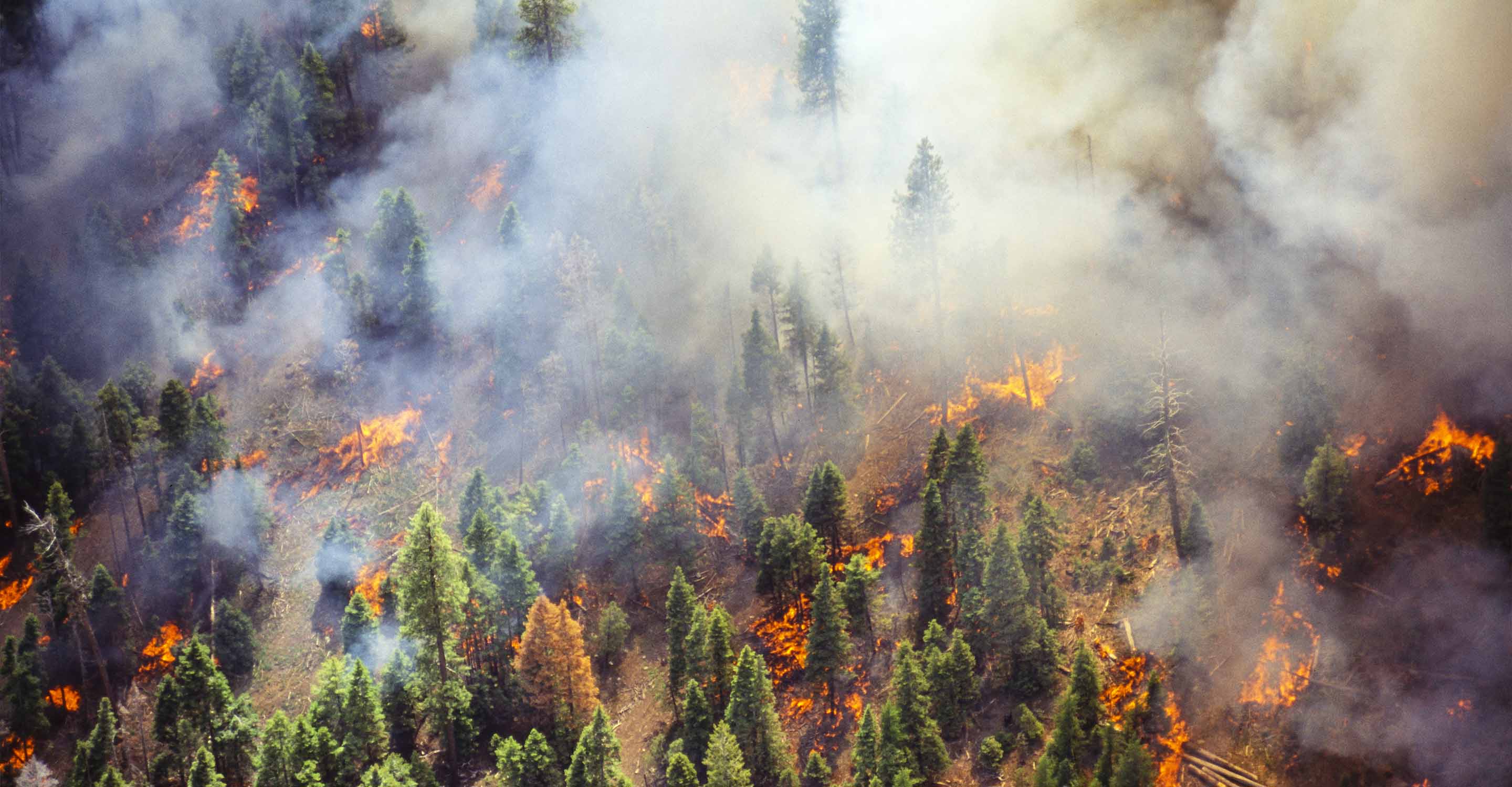 Wildfire Map Spotlight Durkee Fire, Oregon