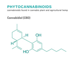 Phytocannabinoids