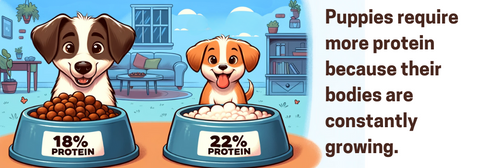 Cartoon image of an adult dog and puppy with their food bowls in from of them. The adult dog has 18% protein in his bowl and the puppy has 22%