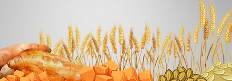 An image of wheat, grains, and sweet potatoes