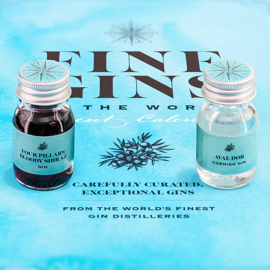 Buy The Fine Gins of the World Advent Calendar Online The Spirit Co