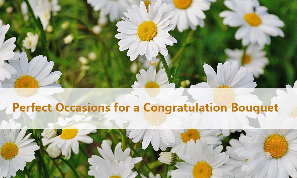 Perfect Occasions for a Congratulation Bouquet