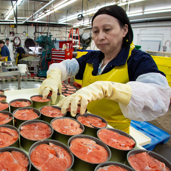 Trabajo en Alaska Procesando, Empacando o Pescando Pescado, Salmón y otros Mariscos