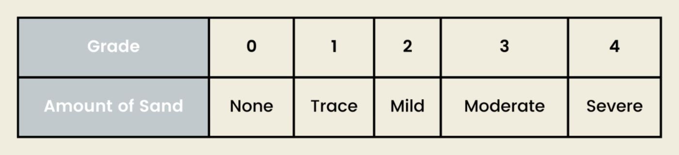 group A - Horse sand trials