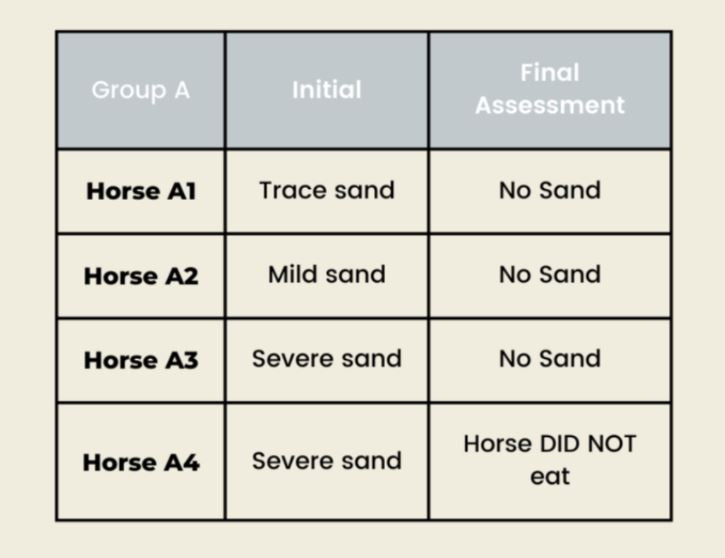 severe sand ingestion horse trial group
