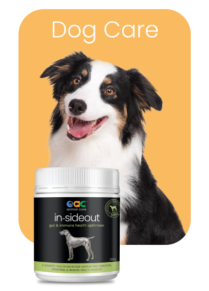 Horse & Pet Care Supplements For Health & Wellbeing – EAC Animal Care