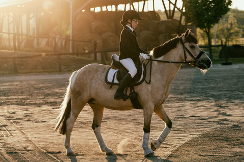 girl riding a pony club horse