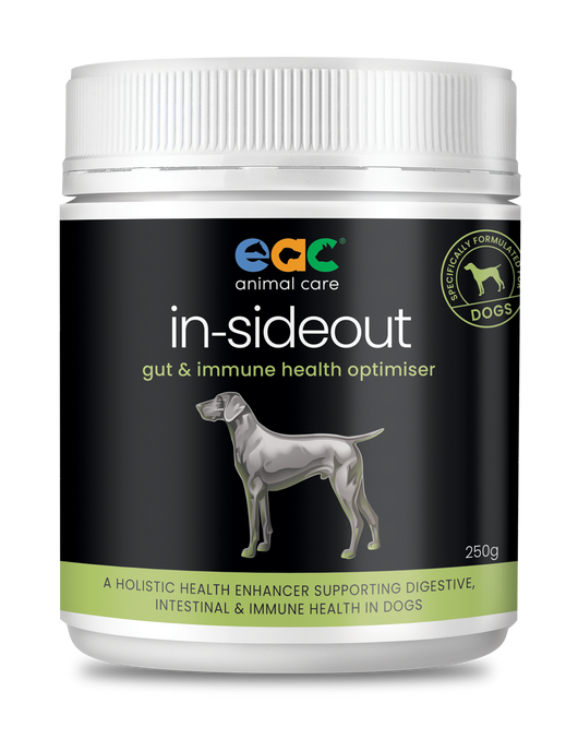 natural probiotics for dogs with diarrhea