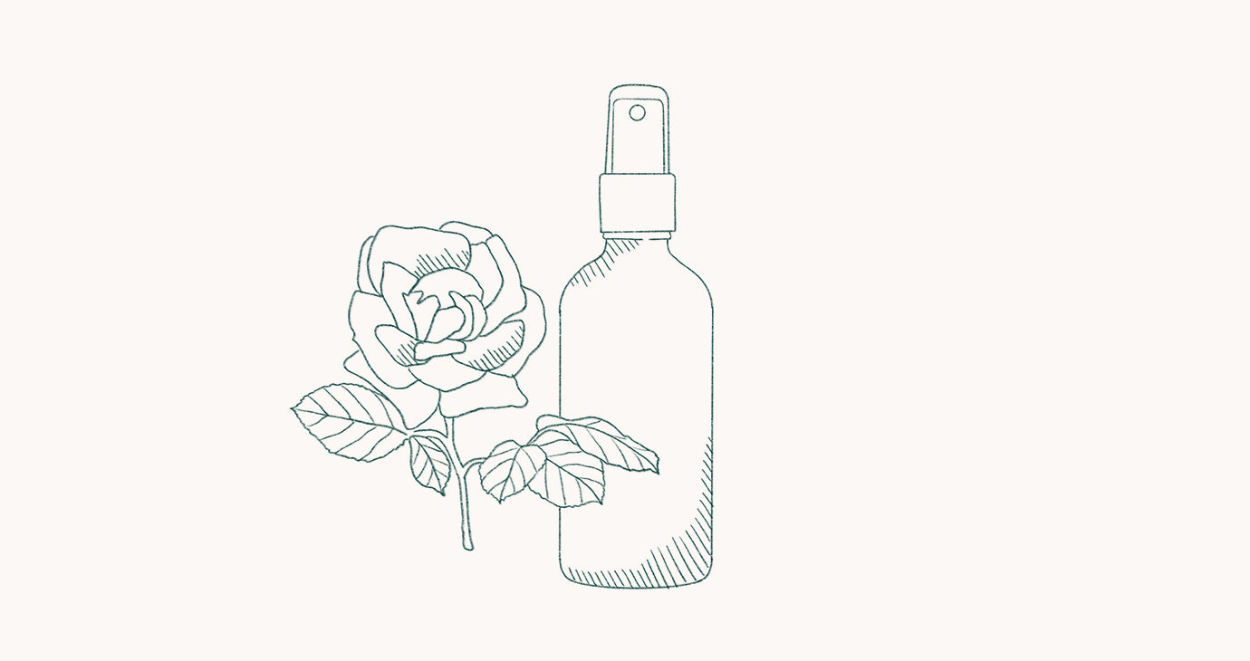 Illustration of a rose and toner spray bottle