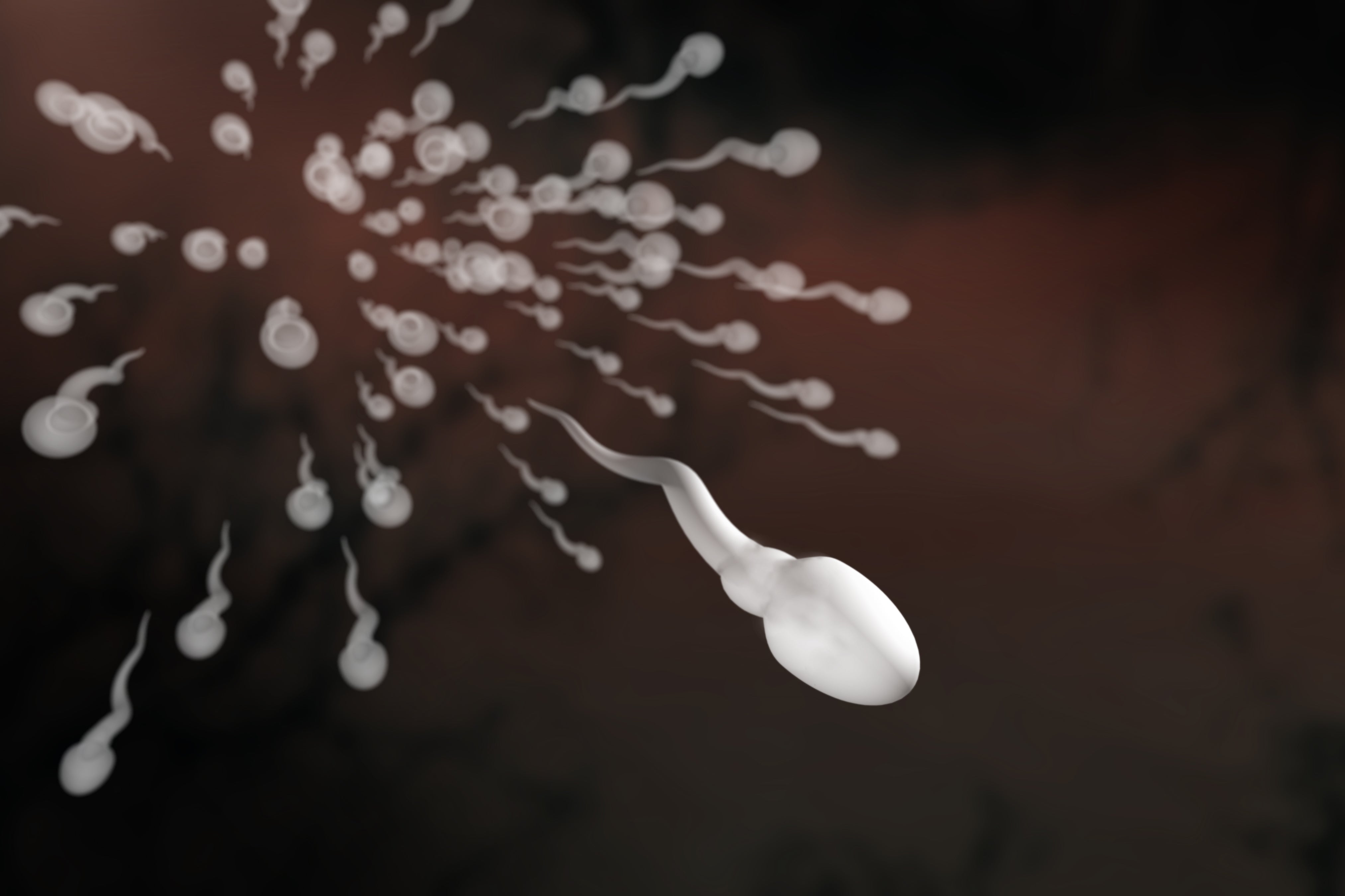 сперма жизнь в организме фото 51