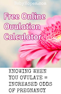 Free Online Ovulation Calendar