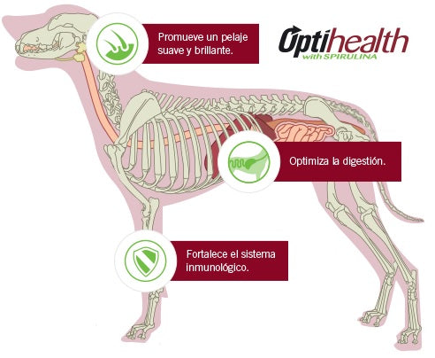 Purina racion protege sistema inmune