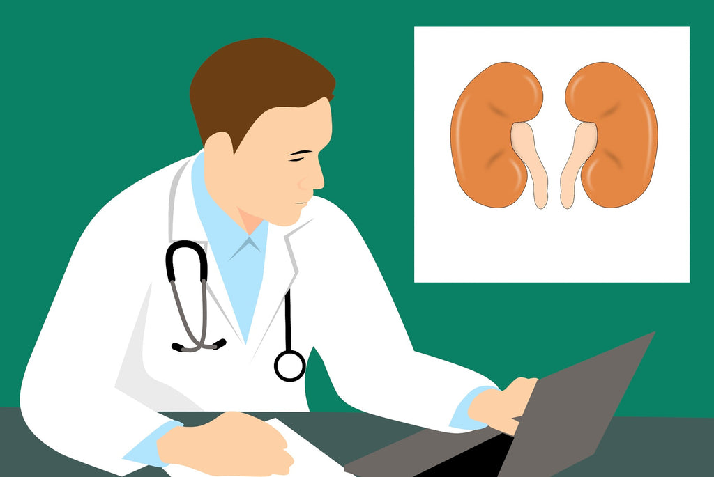kidney stones urinary pain