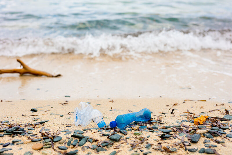 https://cdn.shopify.com/s/files/1/0030/1993/1697/files/plastic-water-bottles-pollution-in-ocean-environm-2023-07-11-06-47-12-utc_1.jpg?v=1701416305