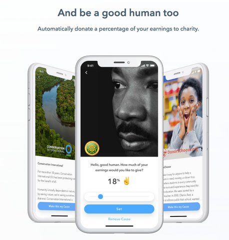 Storr_app