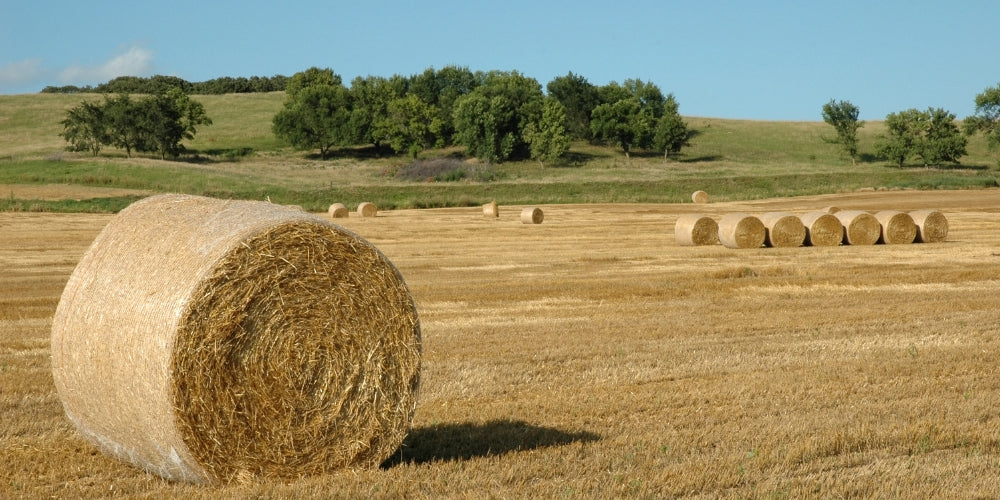 Wheat Straw Material