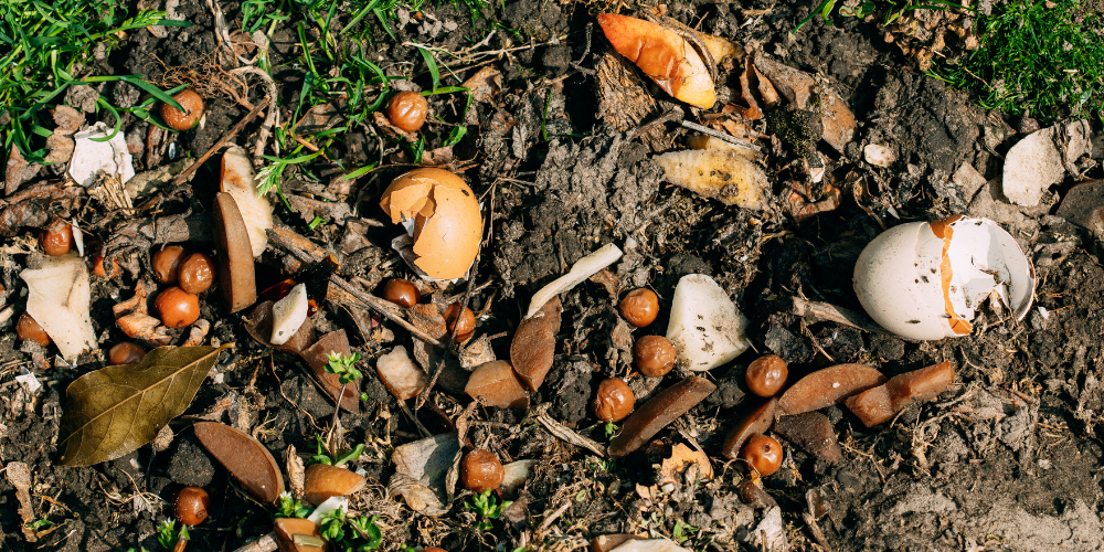 Dirt and organic waste in a compost pile