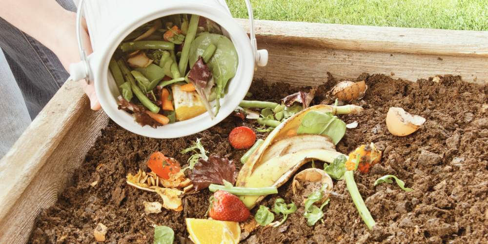 Food scraps being tossed into dirt to form a compost pile