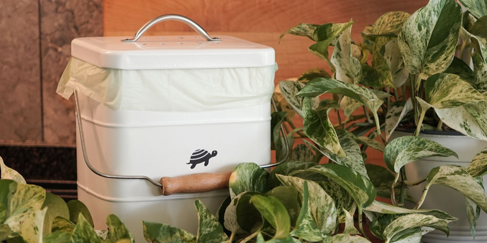 Net Zero Co. Kitchen Compost Bin on the counter surrounded by plants