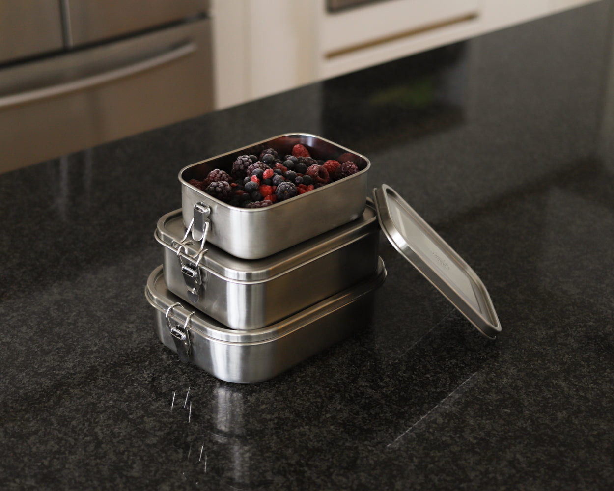 https://cdn.shopify.com/s/files/1/0030/2333/9618/files/frozen_fruit_in_stainless_steel_containers_by_Net_Zero_co.JPG?v=1578905395
