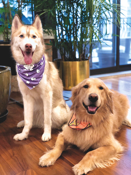 fancy dog bandanas