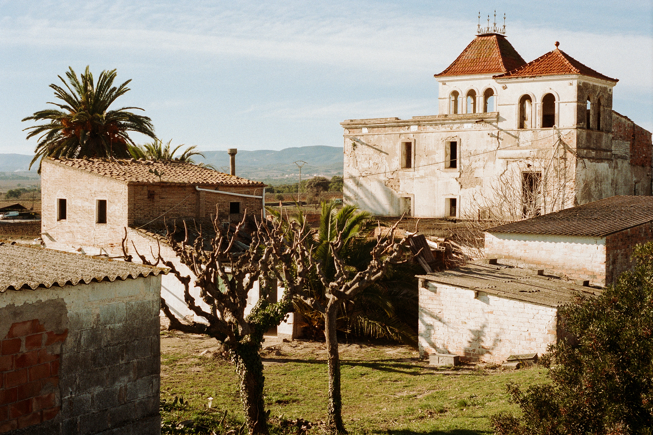 A stone chapel framed by trees of centuries old twisted bark at Mas Palou