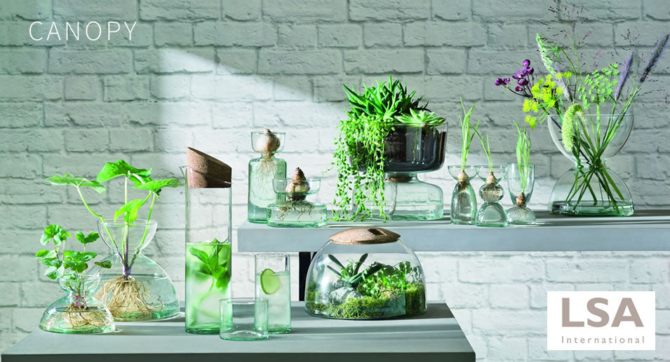 lsa canopy collection header image