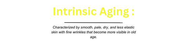 Intrinsic Aging Skin Changes