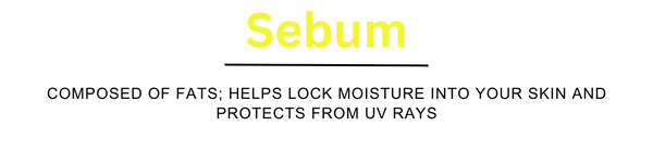 Sebum and Salicylic Acid for Men