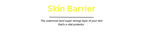 Skin Barrier and Men's Dry Skin