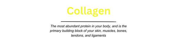 Benefits of Sweat and Collagen