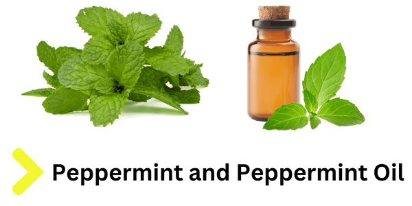 Peppermint Oil Skin Benefits and MOX