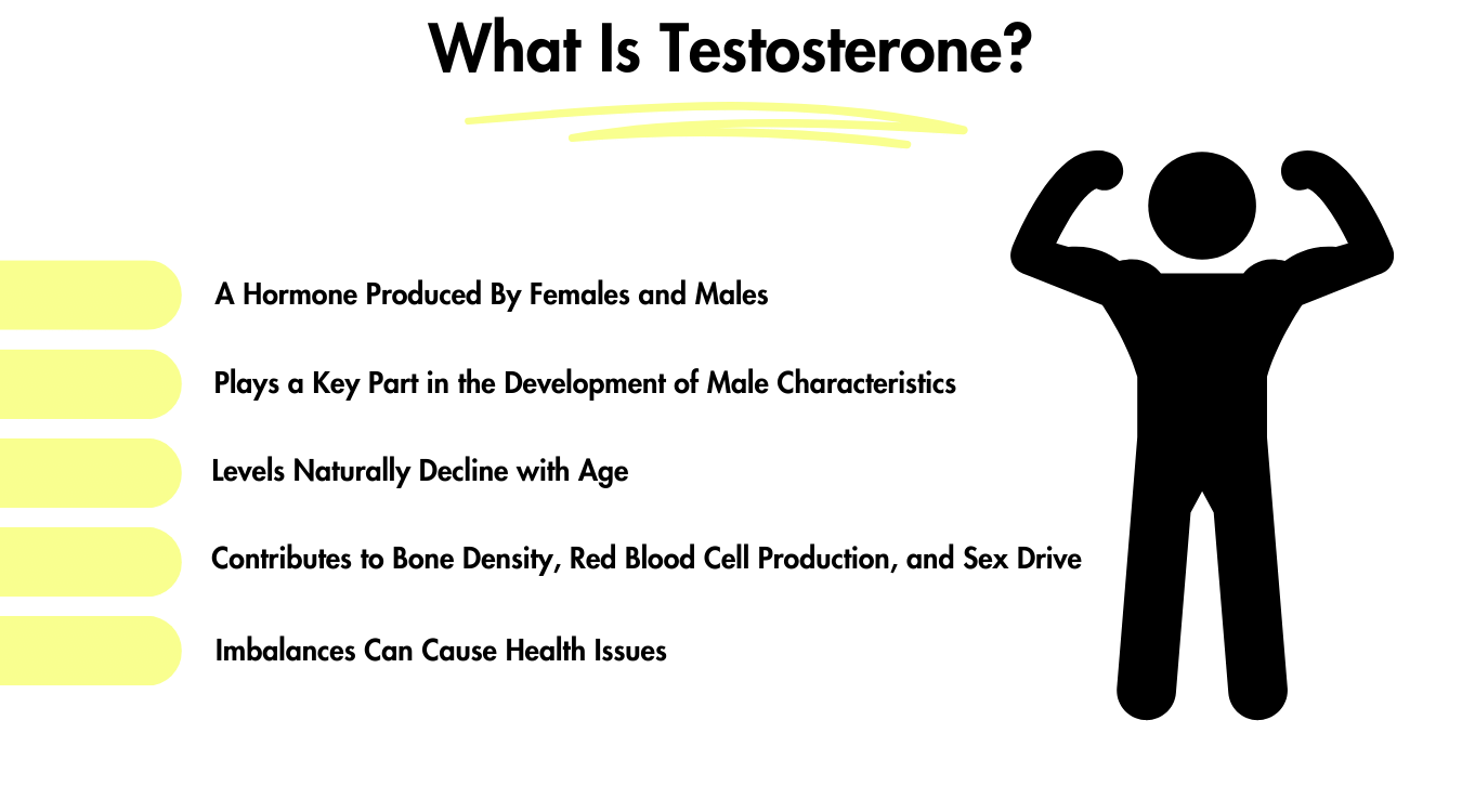 Does Coffee Increase Testosterone? Pictured: What Is Testosterone? It's a hormone by females and males, helps in the development of male features, testosterone levels decline with age, contributes to bone density, red blood cell production, and sex drive, but imbalances of testosterone can cause health issues