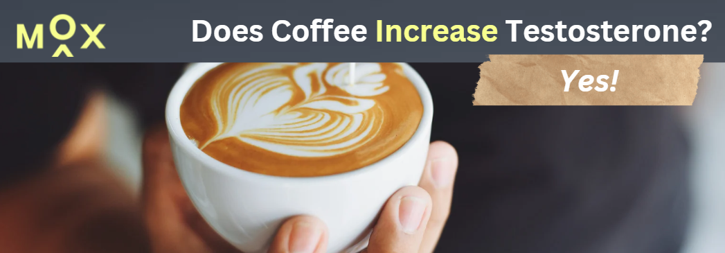 Does Coffee Increase Testosterone? Yes!