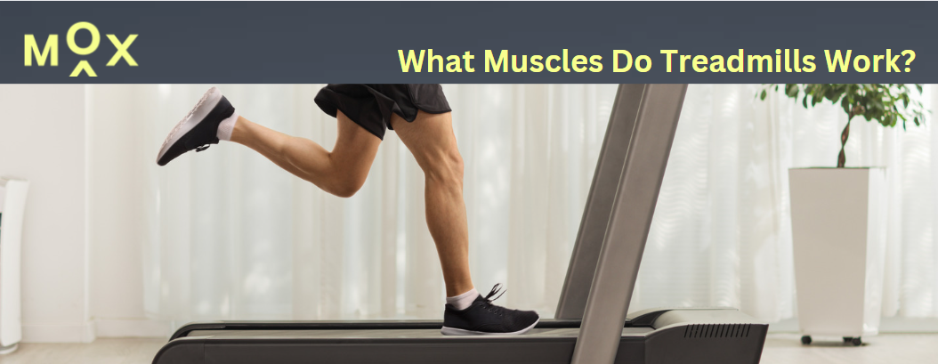 What muscles do treadmills work?