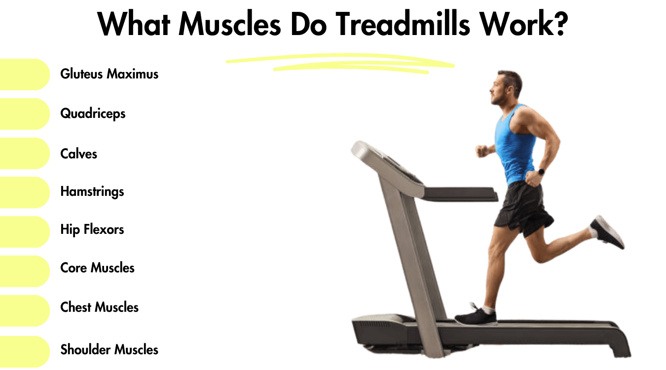 What muscles do treadmills work? Quadriceps, hamstrings, calves, gluteus maximus, hip flexors, core muscles, chest muscles, and shoulder muscles.