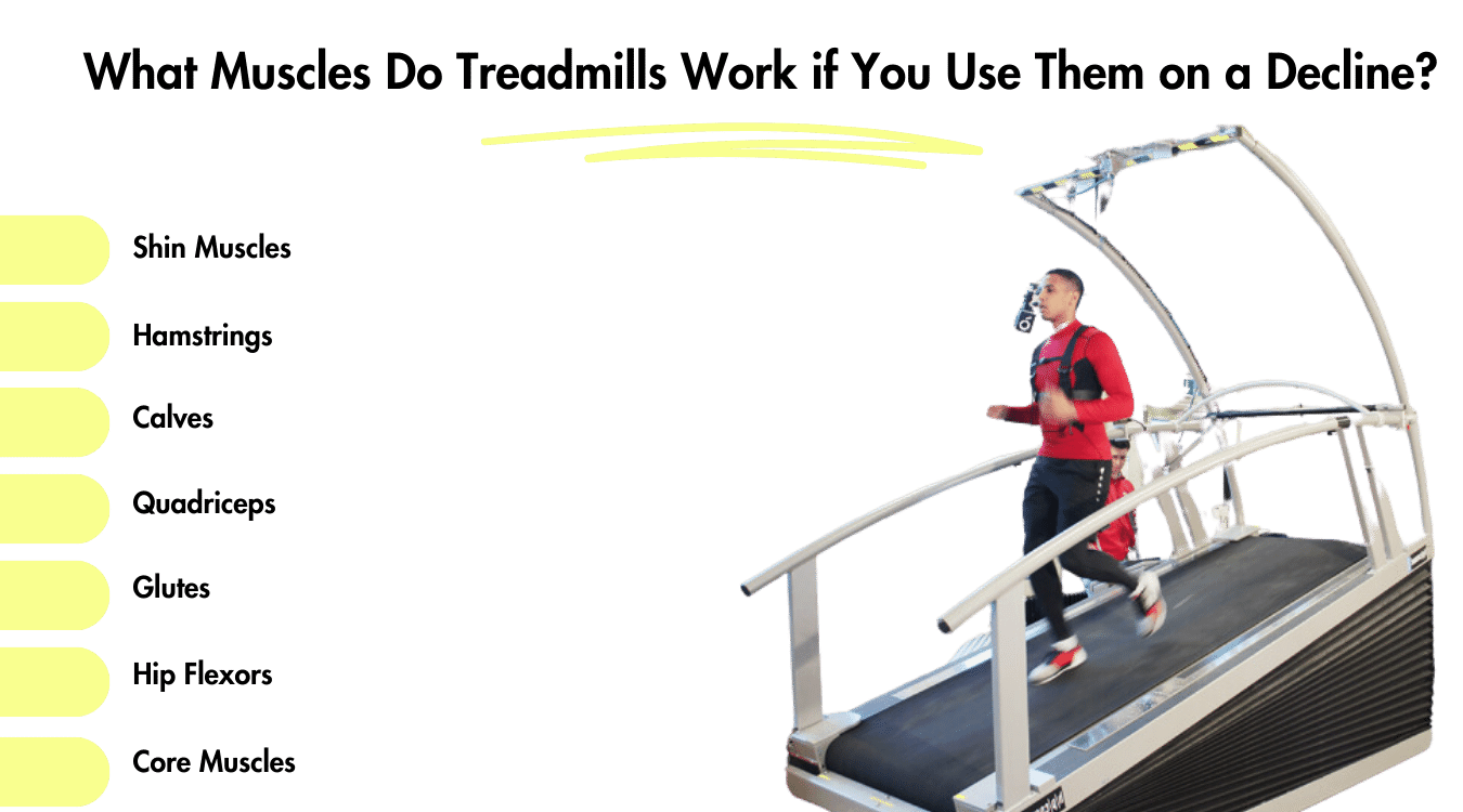 What muscles do treadmills work if you use them on a decline? Shin muscles, hamstrings, calves, quadriceps, and more.