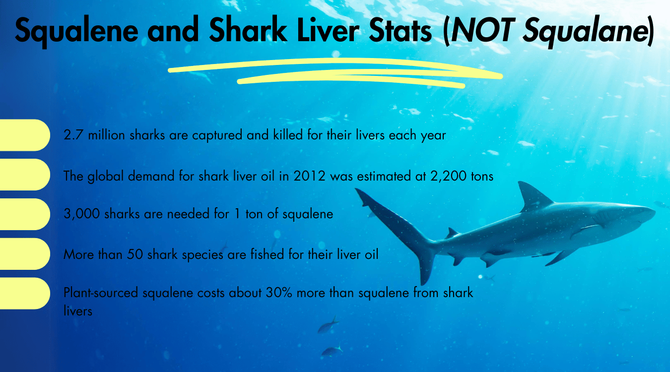 Is squalane comedogenic? Facts about squalene and shark liver.