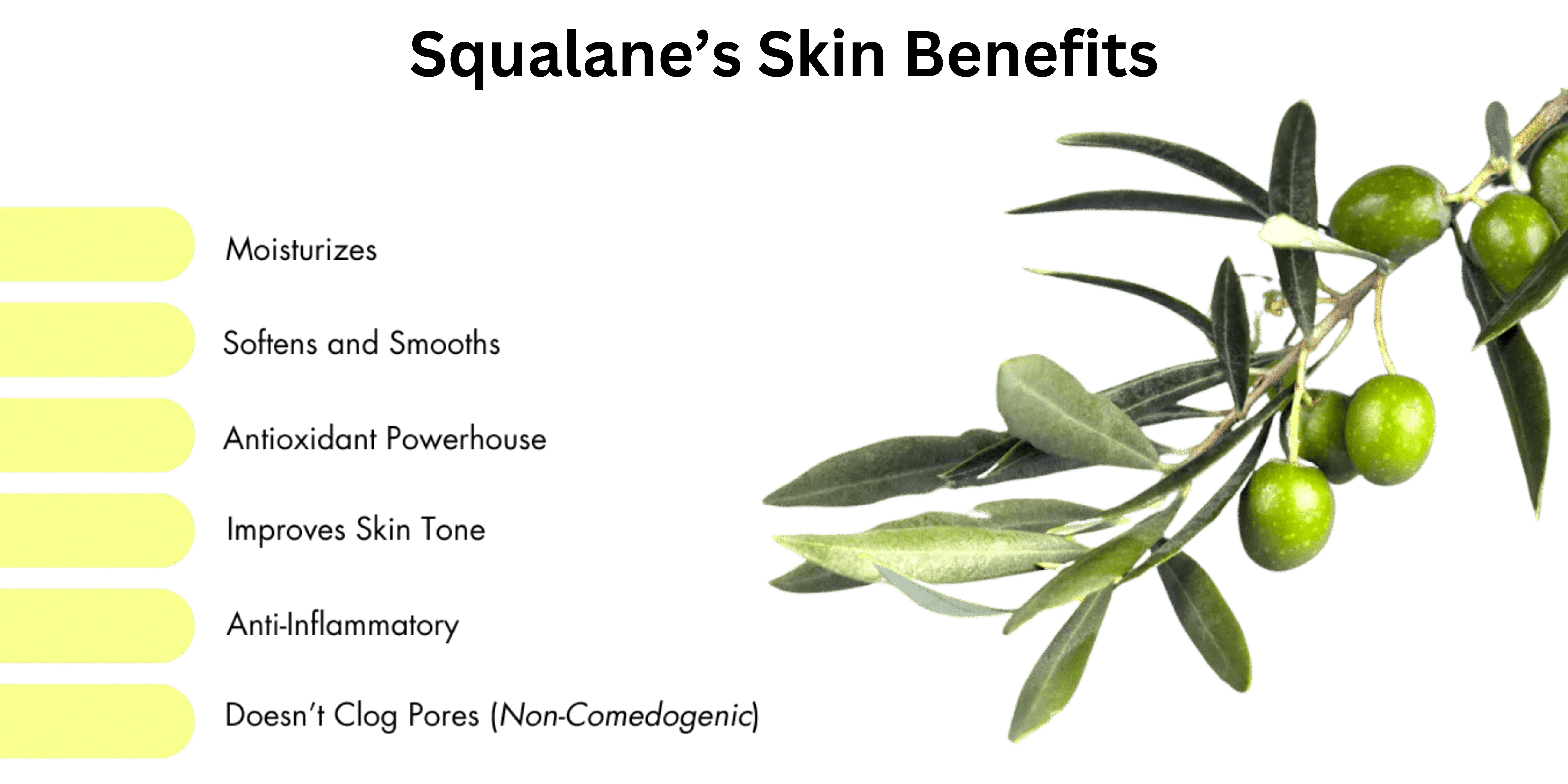 Is squalane comedogenic? About the benefits of squalane for acne.