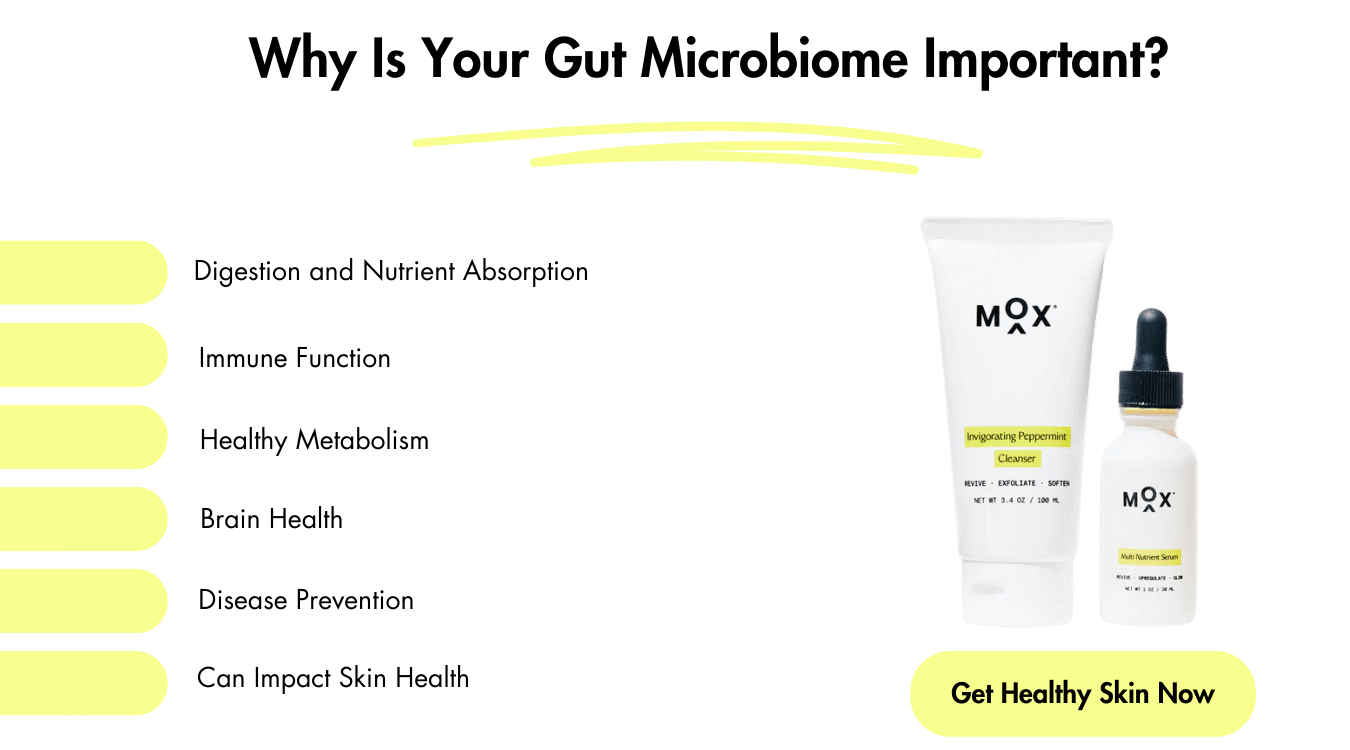 Men's gut health and why your gut microbiome is so important.