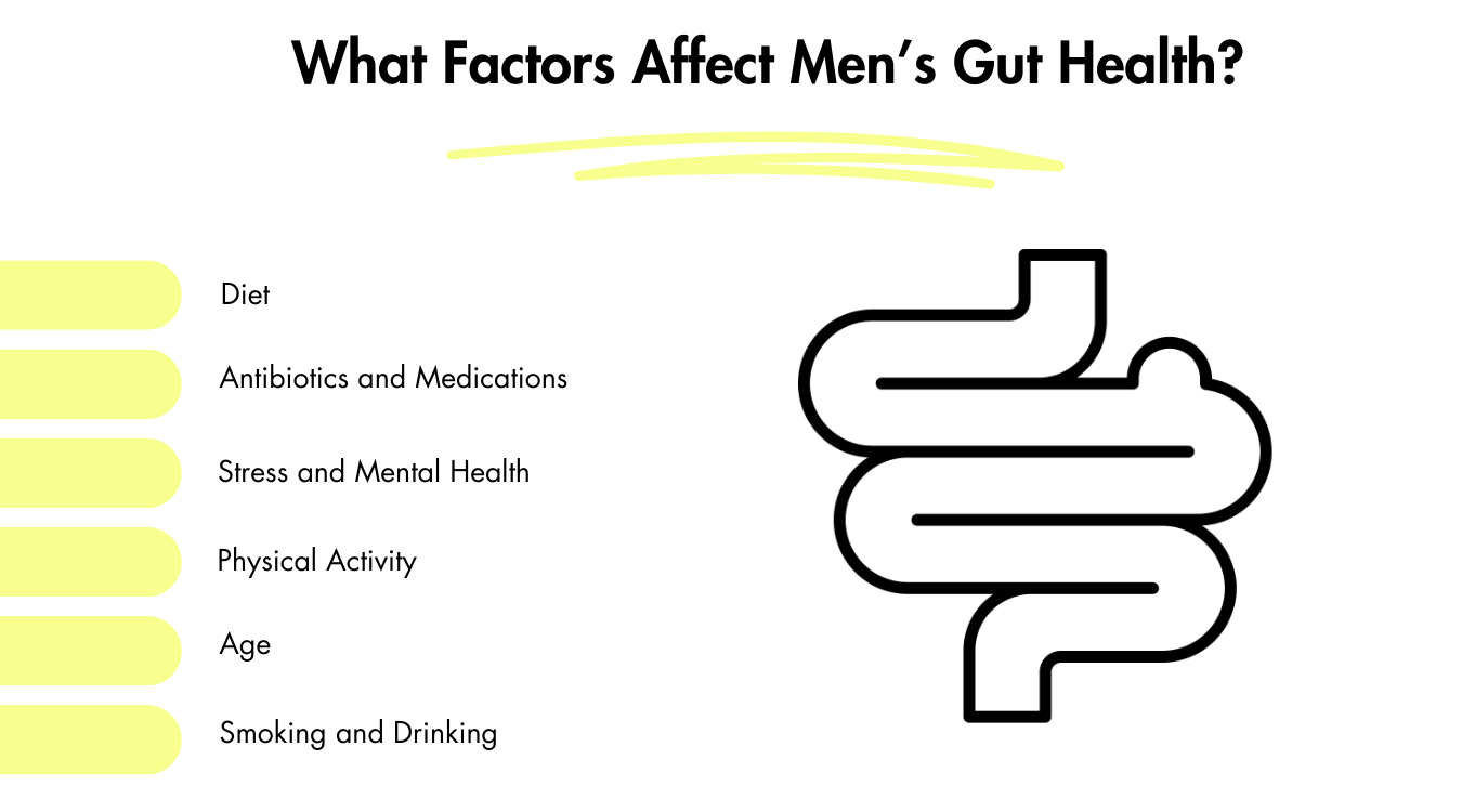 What factors affect men's gut health?
