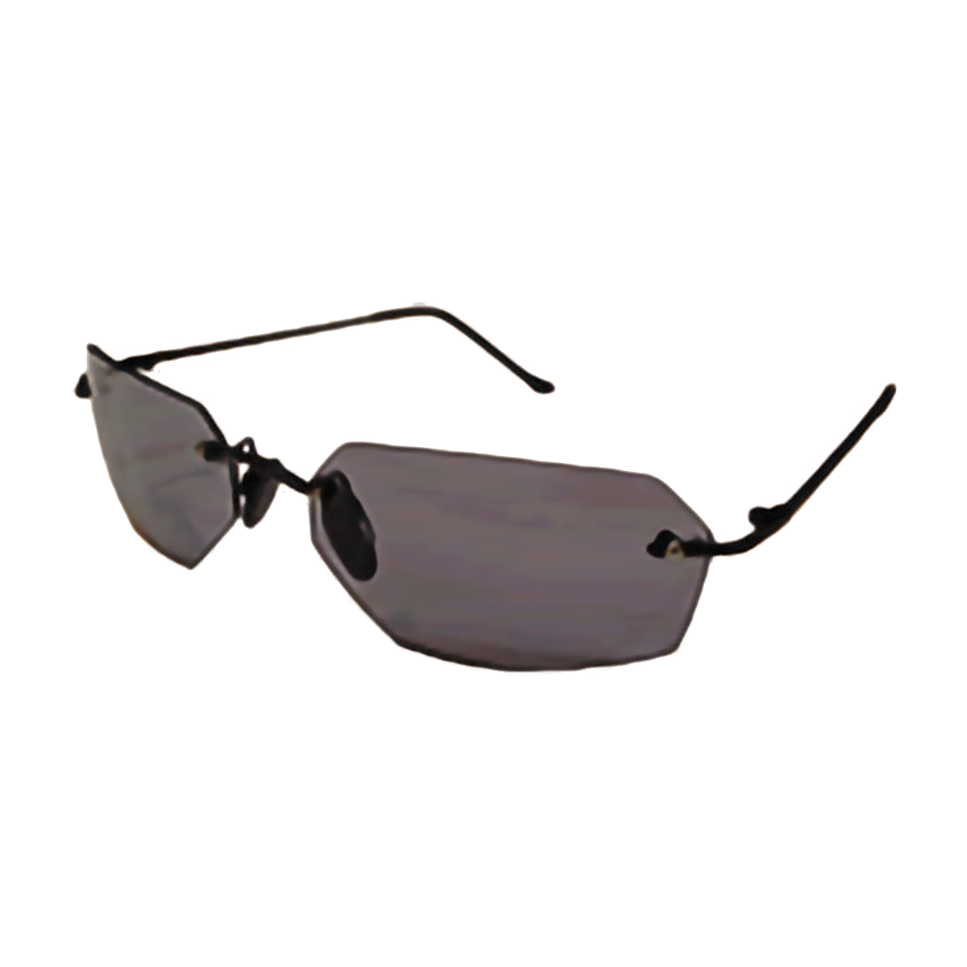 Agent Simulator Sunglasses – Eyewear