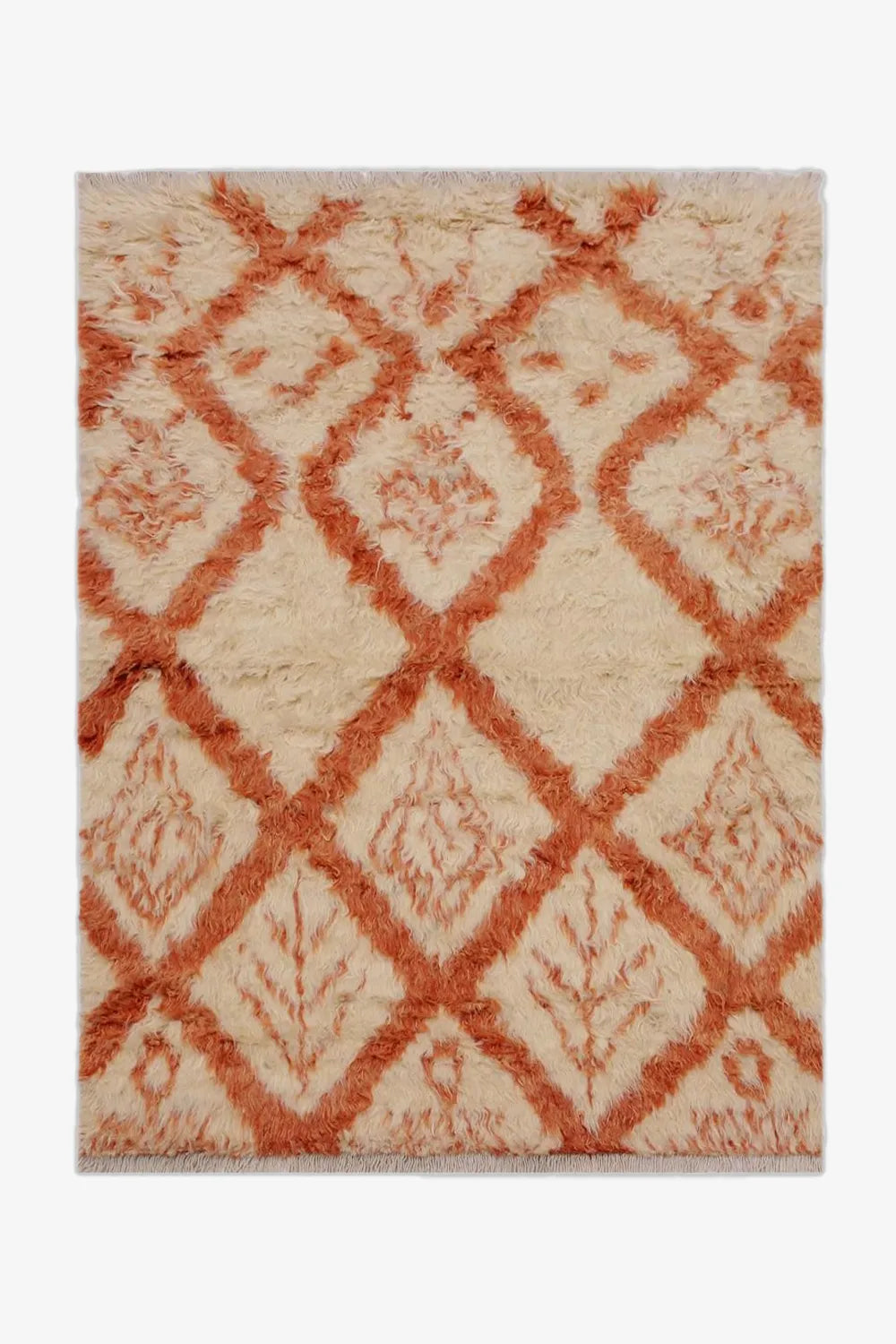 Southwestern Rugs Flatlay