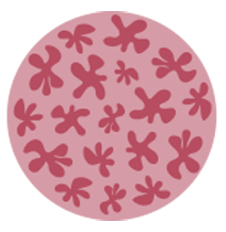 Round Rug Icon