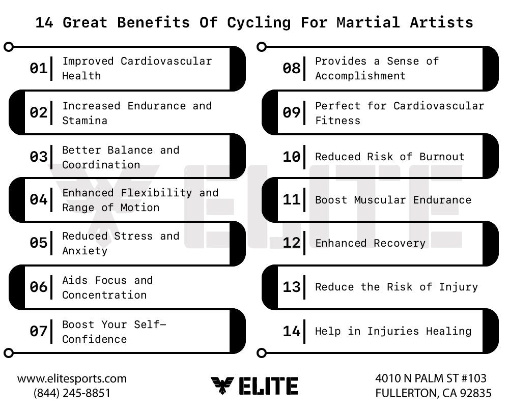 14 Great Benefits Of Cycling For Martial Artists