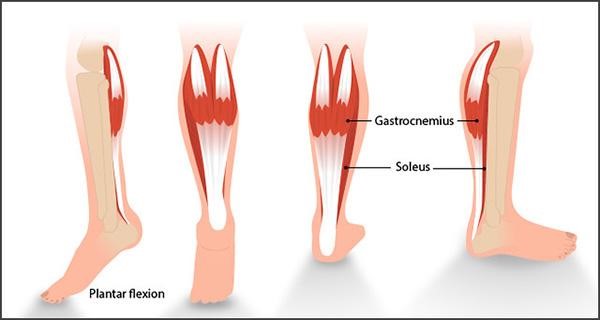 slim down calf muscles