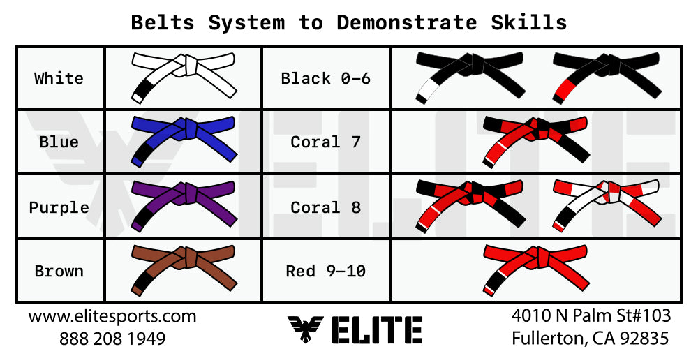 Belts System to Demonstrate  Skills
